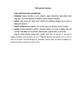 Konspekts 'Karls Gustavs Jungs', 8.