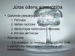 Prezentācija 'Ūdens aizsardzība', 4.