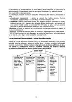 Konspekts 'Valsts tiesības', 13.