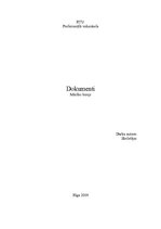 Referāts 'Dokumenti, to veidi, izmantošana', 1.