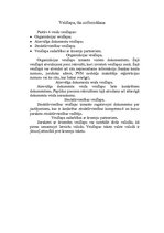 Referāts 'Dokumenti, to veidi, izmantošana', 13.