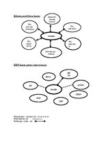 Referāts 'Sociālais darbs ar klientu', 2.