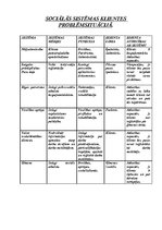 Referāts 'Sociālais darbs ar klientu', 3.