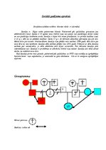 Referāts 'Sociālais darbs ar klientu', 10.
