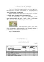 Referāts 'Banketa organizācija', 6.