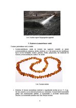 Konspekts 'Dzintars', 6.