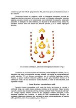 Konspekts 'Dzintars', 8.