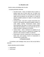 Referāts 'Nodarbinātības un bezdarba līmenis', 13.