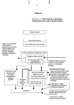 Konspekts 'Civilās trauksmes un apziņošanas sistēmas', 9.