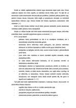 Diplomdarbs 'Mazo un vidējo uzņēmumu attīstība Latvijā (2002.-2005.g.)', 13.