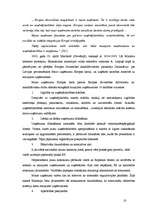 Diplomdarbs 'Mazo un vidējo uzņēmumu attīstība Latvijā (2002.-2005.g.)', 18.