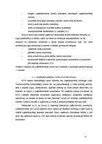 Diplomdarbs 'Mazo un vidējo uzņēmumu attīstība Latvijā (2002.-2005.g.)', 55.