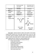 Diplomdarbs 'Mazo un vidējo uzņēmumu attīstība Latvijā (2002.-2005.g.)', 63.