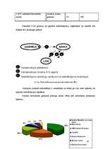 Diplomdarbs 'Mazo un vidējo uzņēmumu attīstība Latvijā (2002.-2005.g.)', 67.