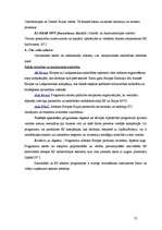 Diplomdarbs 'Mazo un vidējo uzņēmumu attīstība Latvijā (2002.-2005.g.)', 77.