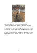 Prakses atskaite 'Lauka kursa atskaite augsnes zinātnē', 23.