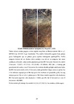 Prakses atskaite 'Lauka kursa atskaite augsnes zinātnē', 24.