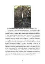 Prakses atskaite 'Lauka kursa atskaite augsnes zinātnē', 25.