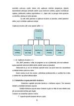 Referāts 'Mārketinga darba organizēšana SIA „EBS”', 6.