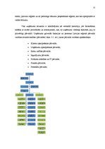 Prakses atskaite 'Prakses atskaite a/s "Hansabanka"', 13.