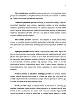 Prakses atskaite 'Prakses atskaite a/s "Hansabanka"', 15.