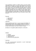 Referāts 'Jāņi', 17.