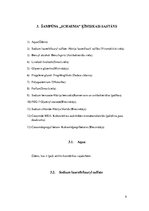 Referāts 'Šampūna "Schauma" ķīmiskais sastāvs', 9.