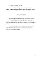 Referāts 'Šampūna "Schauma" ķīmiskais sastāvs', 14.