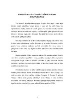 Prakses atskaite 'Aktīvā mācību un audzināšanas prakse pirmsskolā', 4.