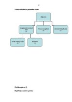 Prakses atskaite 'Prakses atskaite viesu apkalpošanā un darba organizācijā viesnīcā "Reval Hotel E', 17.