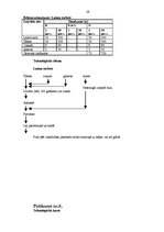 Prakses atskaite 'Prakses atskaite viesu apkalpošanā un darba organizācijā viesnīcā "Reval Hotel E', 29.