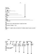 Prakses atskaite 'Prakses atskaite viesu apkalpošanā un darba organizācijā viesnīcā "Reval Hotel E', 38.