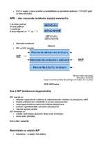 Konspekts 'Reģionālā plānošana', 3.