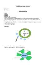 Konspekts 'Reģionālā plānošana', 13.