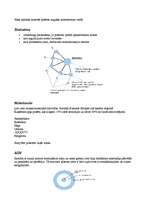 Konspekts 'Reģionālā plānošana', 14.