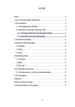 Referāts 'Satura pārvaldības sistēmas, to salīdzinošā analīze', 3.