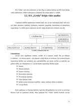 Prakses atskaite 'Prakses atskaite mārketingā', 13.