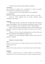 Prakses atskaite 'Prakses atskaite mārketingā', 15.