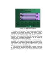 Referāts 'Latvijas ceļi - sauszemes satiksme', 7.