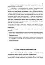 Diplomdarbs 'Līzings kā alternatīvs finansēšanas avots uzņēmējdarbībā', 31.