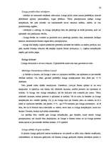 Diplomdarbs 'Līzings kā alternatīvs finansēšanas avots uzņēmējdarbībā', 36.