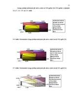 Diplomdarbs 'Līzings kā alternatīvs finansēšanas avots uzņēmējdarbībā', 55.