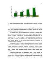 Diplomdarbs 'Līzings kā alternatīvs finansēšanas avots uzņēmējdarbībā', 58.