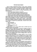 Eseja 'Līguma slēgšanas riski', 2.