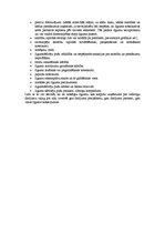 Eseja 'Līguma slēgšanas riski', 4.