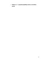 Prakses atskaite 'Prakses atskaite SIA "Empower"', 13.