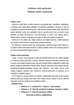 Prakses atskaite 'Prakses atskaite SIA "Empower"', 14.