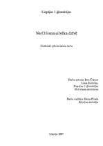 Referāts 'NaCl loma cilvēka dzīvē', 1.