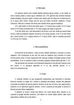 Referāts 'NaCl loma cilvēka dzīvē', 6.