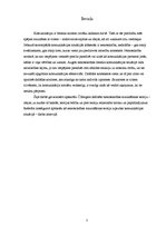 Referāts 'Nenoteiktības mazināšanas teorija', 3.